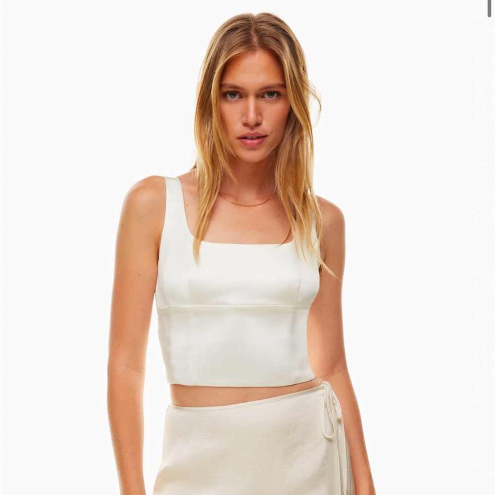 Aritzia Shine Bustier